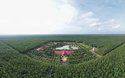 VRG: Từ trụ cột nông nghiệp đến đầu tàu phát triển bền vững