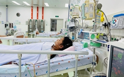 TP.HCM báo động 10 ca tử vong do sốt xuất huyết