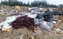 Đổ trộm gần 100 kg thuốc tây kém chất lượng, bị phạt gần 100 triệu đồng