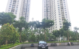 Đánh thuế 10% trên giá bán nhà: Lo thuế cộng thẳng vào giá