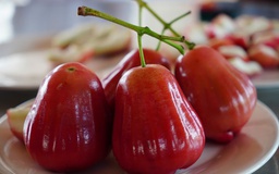 Mận hồng Sân Tiên ở miền Tây có gì lạ mà giá tới 230.000 đồng/kg?