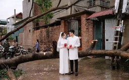 Sự thật bất ngờ về bộ ảnh cưới bên gốc cây ngã đổ sau cơn bão