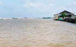 Mực nước lũ sông Mekong và ĐBSCL lên nhanh
