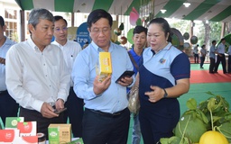 Lan tỏa làn sóng khởi nghiệp, đổi mới sáng tạo tại An Giang 