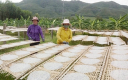 Lãi 200 triệu đồng mỗi năm nhờ nghề làm bánh tráng