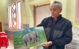 Hành trình đưa voi về 'đất mẹ'