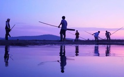 Nét mới của truyền hình thực tế