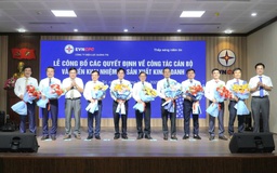 Điện lực Quảng Trị kiện toàn bộ máy sau sáp nhập 