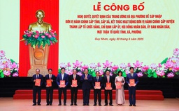 7 Phó chủ tịch UBND tỉnh Gia Lai được phân công phụ trách những lĩnh vực nào?