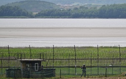 Quân đội Hàn Quốc thông báo bắt giữ một người Triều Tiên vượt biên