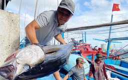 Xuất khẩu khai phá những 'mỏ vàng' mới