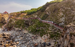 Tới Gia Lai trải nghiệm nơi rừng đại ngàn và biển gặp nhau