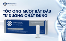 Tóc và sức khỏe: giải pháp phục hồi từ gốc