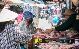 Gạo tăng 40%, thịt heo hơi tăng 60%, vì sao điều chỉnh tăng giảm trừ gia cảnh 20%?