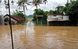 Lũ lụt và con người