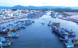 'Hồn biển' bên sông Cà Ty