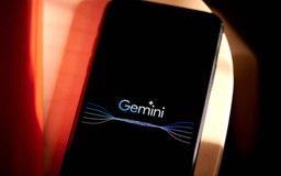 Gemini tự ti, gọi mình là 'nỗi ô nhục của nghề nghiệp'