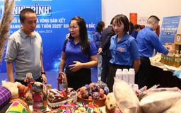 Giúp thanh niên làm chủ dự án và các mô hình khởi nghiệp