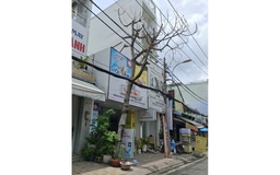 Cây chết khô lâu ngày chưa được xử lý