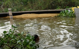 Tây Ninh: Va phải cọc trên kênh Cả Dứa, ghe chở 40 tấn lúa bị chìm