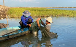 Mưa bão gia tăng, cảnh báo lũ sông Cửu Long lên nhanh vào cuối tháng 8