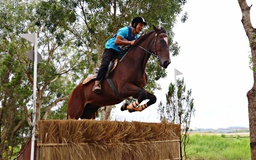 Lâm Đồng lần đầu diễn ra giải đua ngựa phong trào vượt địa hình