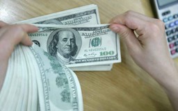 Giá USD căng như dây đàn
