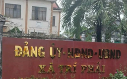 Vụ cán bộ bị khởi tố vẫn được bố trí công tác: Tỉnh ủy Cà Mau yêu cầu xử lý