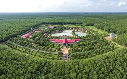 Chư Sê - Kampong Thom: Ngọn cờ đầu của ngành cao su Việt Nam trên đất Campuchia