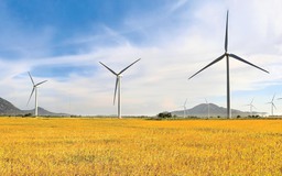 Xây dựng Khánh Hòa trở thành thủ phủ năng lượng sạch Việt Nam