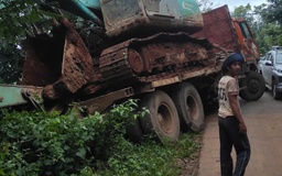 Gia Lai: Xe tải mất thắng tông chết 18 con bò