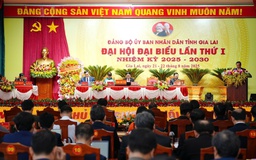 Gia Lai đặt mục tiêu tăng trưởng GRDP bình quân 10 - 10,5%/năm
