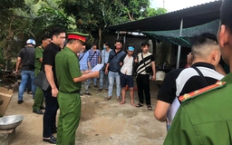 Kiểm tra 'trại nuôi gà', phát hiện ma túy cùng súng, đạn