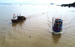 Tàu thuyền nối đuôi nhau đi tránh bão Kajiki