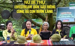 Nữ bí thư xã livestream bán sầu riêng giúp dân: 'Không bán hàng để làm giàu'