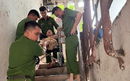 Nghệ An sơ tán hàng ngàn hộ dân để tránh bão số 5