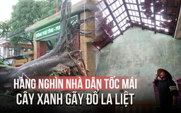Bão số 5 tàn phá Nghệ An, Hà Tĩnh: Hàng nghìn căn nhà tốc mái, cây xanh gãy đổ la liệt