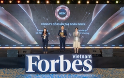 GELEX trở lại ấn tượng trong Top 50 Công ty niêm yết tốt nhất Việt Nam
