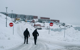 Đan Mạch triệu tập lãnh đạo sứ quán Mỹ vì 'chiến dịch ngầm' tại Greenland