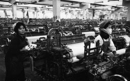 Từ xuất thô đến tự chủ công nghệ