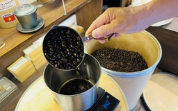 Liên tục tăng mạnh, giá cà phê quay lại mốc lịch sử