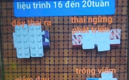 Uống thuốc phá thai mua trên mạng xã hội, thai phụ băng huyết, hôn mê