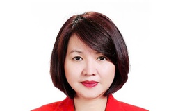 Bắt Cục trưởng Cục An toàn thực phẩm Trần Việt Nga