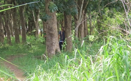 Đồng Nai: Làm rõ vụ người đàn ông tử vong trong tư thế treo cổ