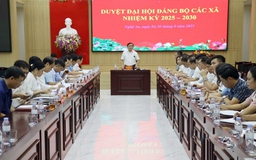 Nghệ An: Không tổ chức văn nghệ, tặng quà tại đại hội Đảng cấp xã
