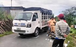 Vụ nữ sinh Vĩnh Long tử vong: Khởi tố tài xế xe tải, trưng cầu giám định