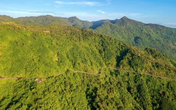 Quảng Ngãi đề nghị hỗ trợ 2.350 tỉ đồng nâng cấp QL24 qua đèo Vi Ô Lắc