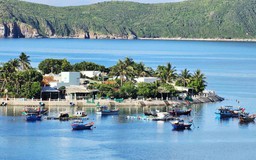 Bích Đầm - miền xanh hoang sơ giữa vịnh Nha Trang