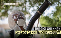 WHO cảnh báo bệnh chikungunya có thể ảnh hưởng hàng tỉ người