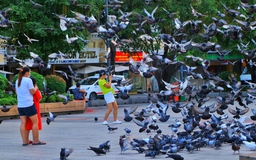 Ngày thứ ba kỳ nghỉ tết Độc lập 2.9: Bất ngờ đường phố trung tâm TP.HCM